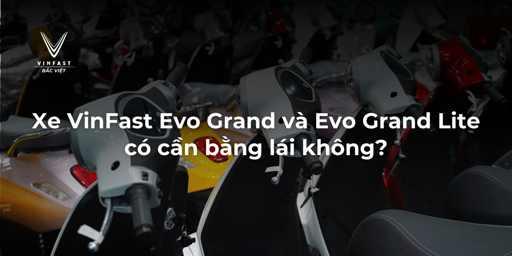 Xe VinFast Evo Grand và Evo Grand Lite có cần bằng lái không?